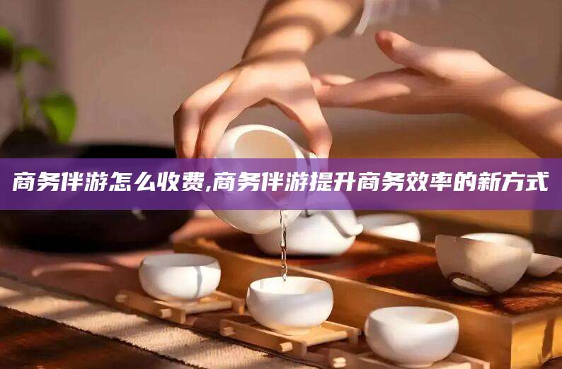 郯城商务伴游怎么收费,商务伴游提升商务效率的新方式